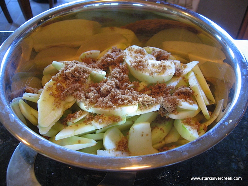 Cut the apple into thin slices and toss them into a mixing bowl. Add the brown sugar, cinnamon. In a small bowl mix the flour and salt together. Sprinkle mixture over apples. Gentle mix until apples are all covered. 