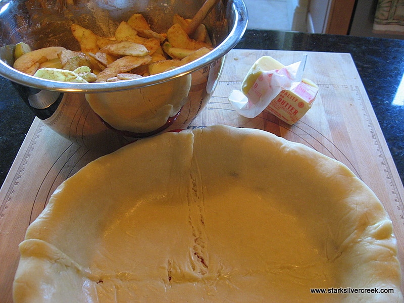 Take one of the pie crusts and cover the bottom of your favorite pie dish. Make sure to press the crust into the edges of the dish.