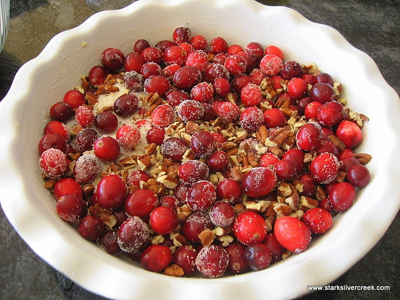Pour cranberries into a buttered and floured deep 10" tart/pie dish. Sprinkle 1/2 cup of sugar and pecans over the cranberries.