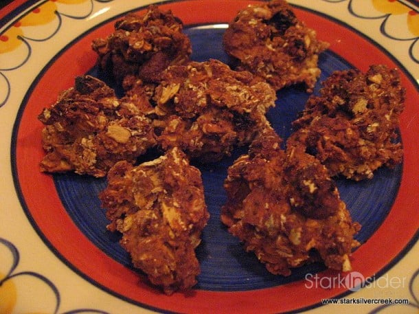 Chocolate Almond Oatmeal Raisin Cookies