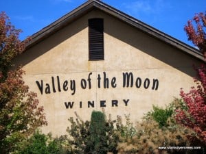 A Sonoma winery definitely worth a visit