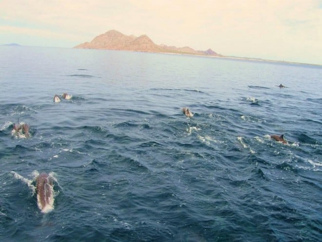 escorting-the-el-don-to-isla-carmen