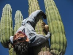 2009 Loreto Calendar: Adobe matches contributions made to Animalandia