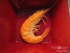 Tips for Hosting a Chinese Hot Pot Dinner Tips for a Chinese Hot Pot Dinner