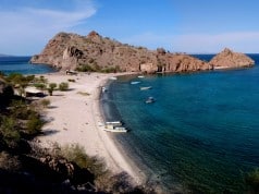 Loreto Fest 2009: 13th annual event goes “Back to the 50s”