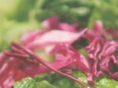 United Airlines pilots ChoiceMenu in effort to boost per seat revenue