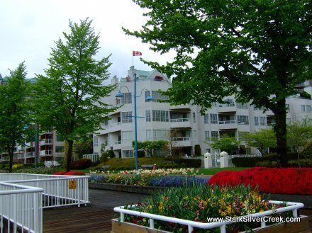 Many well kept condos lined the Fraser