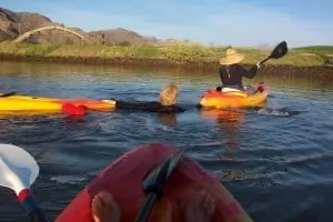 Jane Hanging On To Her Kayak And Sharon's