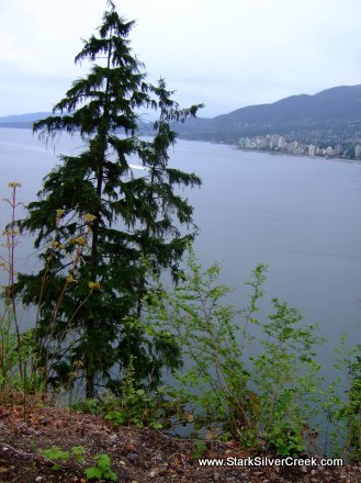 Stanley Park