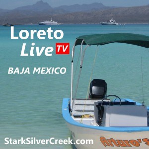 Loreto Live TV Podcast Logo