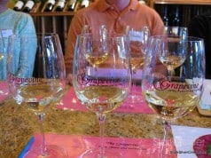 Grapevine Willow Glen San Jose