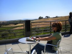 Artesa Winery