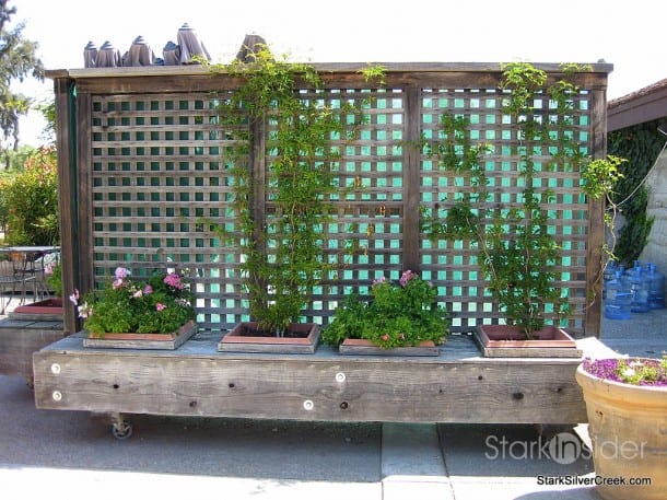 Wente Vineyards Planter Box