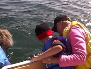 Petting A Baby Gray Whale