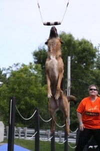 dockdogs-sheena
