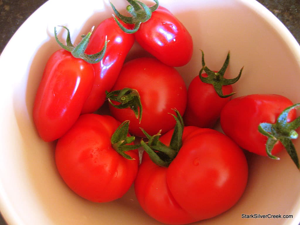 tomato-harvest-vegetable-planter-box
