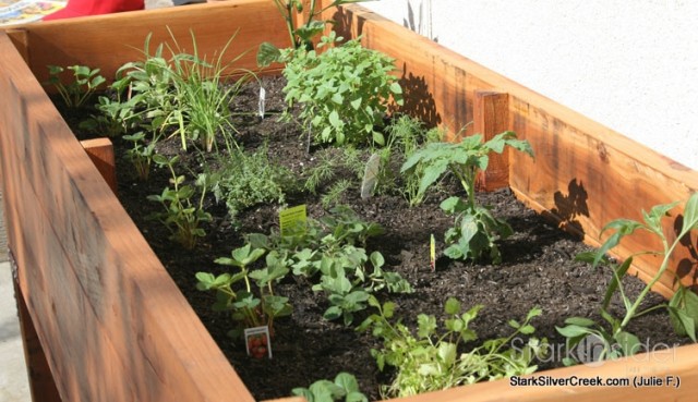 Vegetable Planter Box Turned Herb, Herb Garden Planter Box Plans