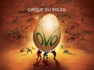 Cirque du Soleil OVO