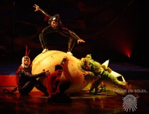 Cirque du Soleil OVO Cast