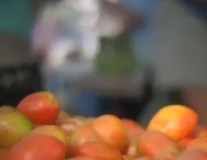 Shallow depth-of-field using Canon SLR lens on HD video camera in Loreto, Baja