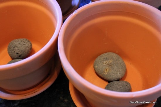 Herb Window Sill Garden Pots