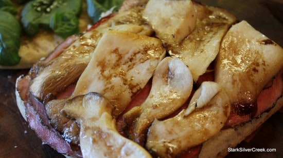 Oyster-Mushroom-Basil-Brie-Pastrami-Panini-Fig-Jam-16
