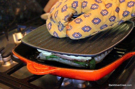 Oyster-Mushroom-Basil-Brie-Pastrami-Panini-Fig-Jam-22