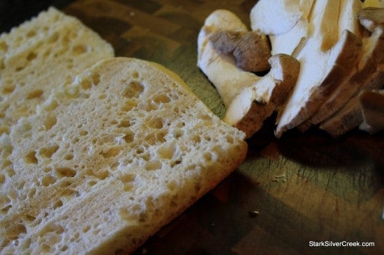 Oyster-Mushroom-Basil-Brie-Pastrami-Panini-Fig-Jam-3