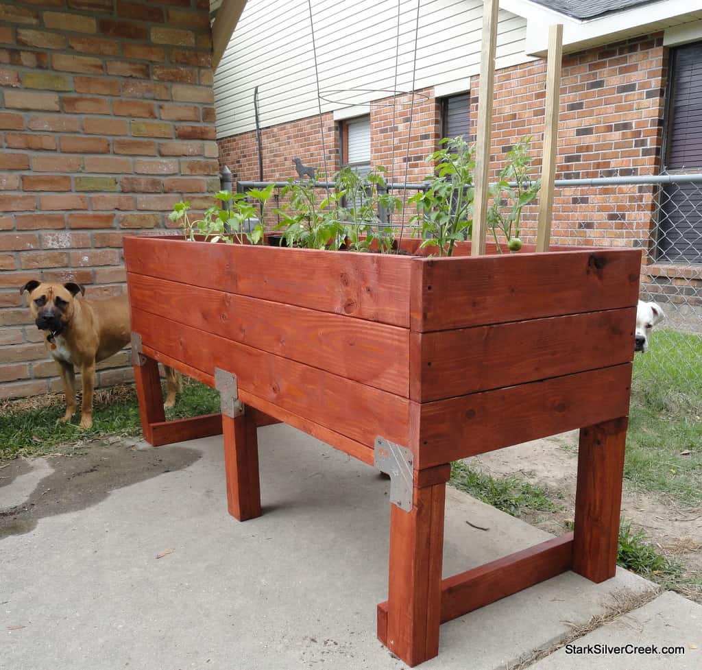 build-a-doggie-proof-vegetable-planter-box-stark-insider