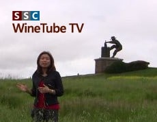 WineTube TV
