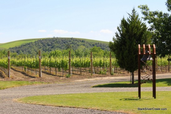 Walla-Walla-Vintners-Gordon-20