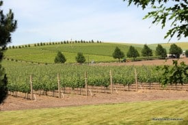 Walla Walla Wine Country