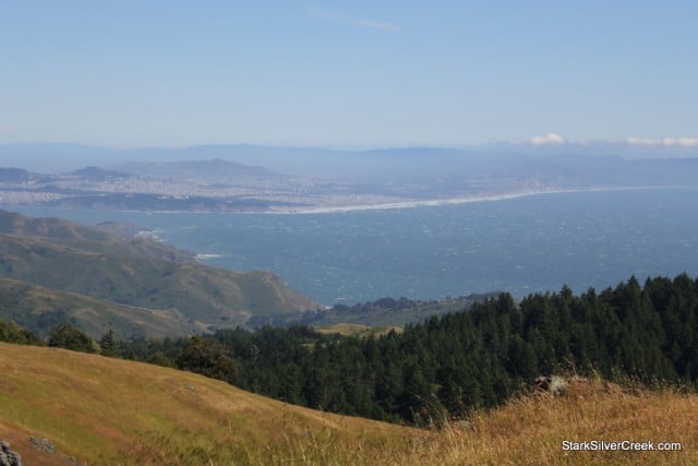 Mount Tamalpais