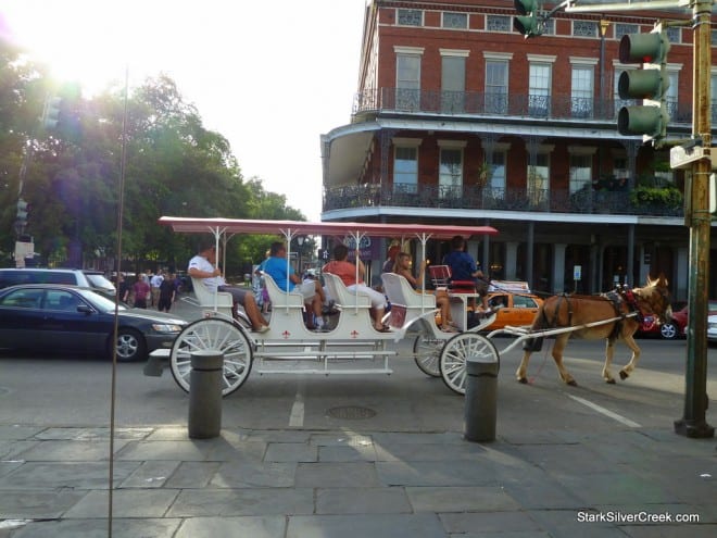 A classic horse-drawn carriage in the French Quarter
