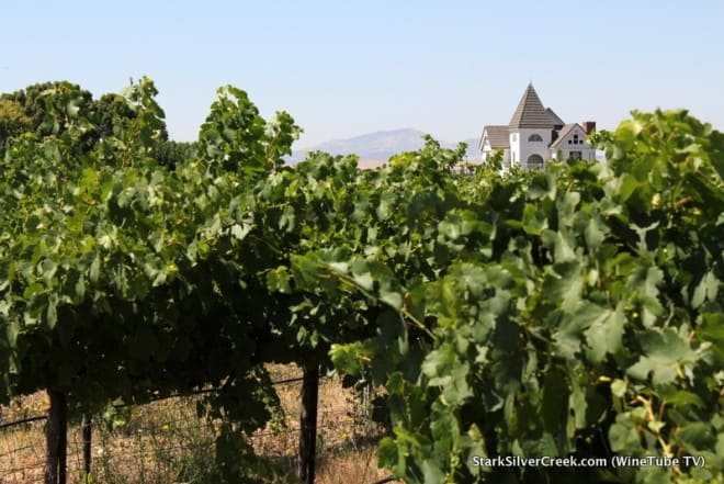 Vineyards