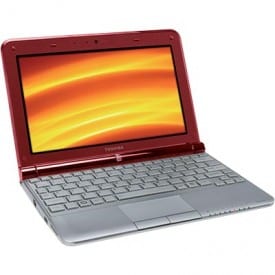 Toshiba NB305 netbook. Packs a punch for only $379 at Costco.