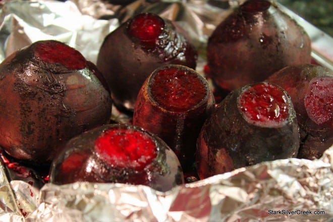 Oyster-Mushroom-Beet-Summer-Squash-Salad-10