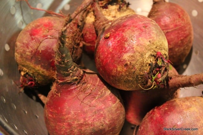Oyster-Mushroom-Beet-Summer-Squash-Salad-2