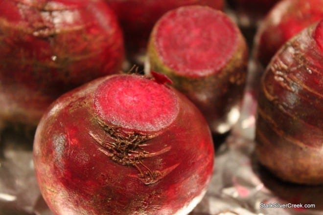 Oyster-Mushroom-Beet-Summer-Squash-Salad-3