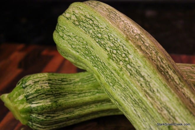 Oyster-Mushroom-Beet-Summer-Squash-Salad-4