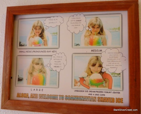 Shaved-Ice-Kona-Scandinavian-3