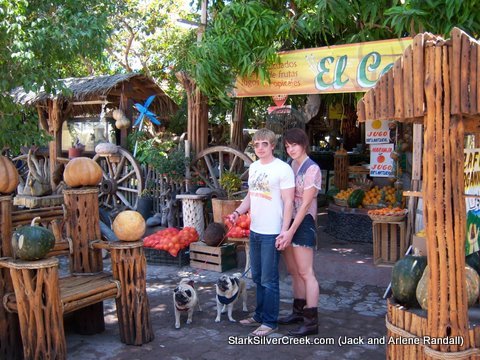 Beau and Merry shopping at the Fruiteria with Pugs