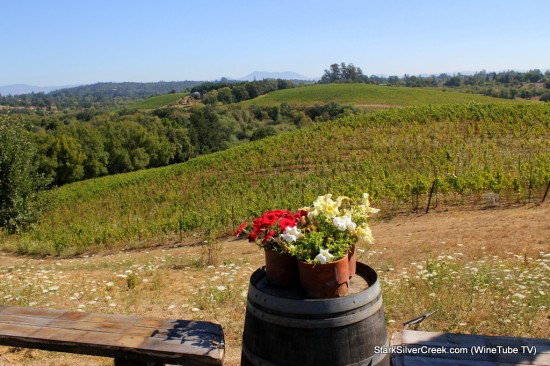 Sweeping views of the Russian River Valley