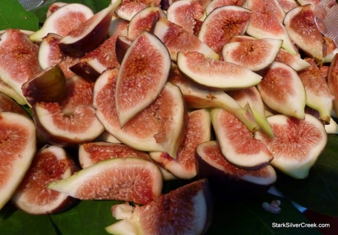 SF Chefs 2010 Hog in the Fog Opening Night