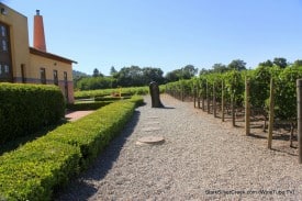 Thumb at Clos Pegase: A popular spot to get married.