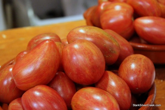 Taste Tomato at Macy's