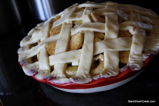 "Easy as Pie" Apple Pie