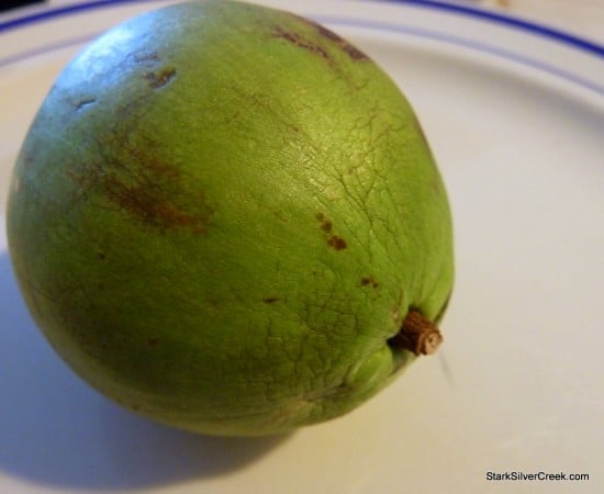 Starapple Cainito South Kona Fruit Stand