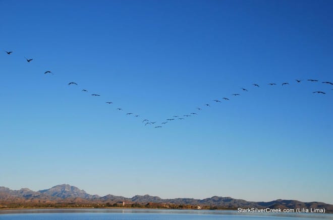 2011 Loreto Calendar Photo Contest-138