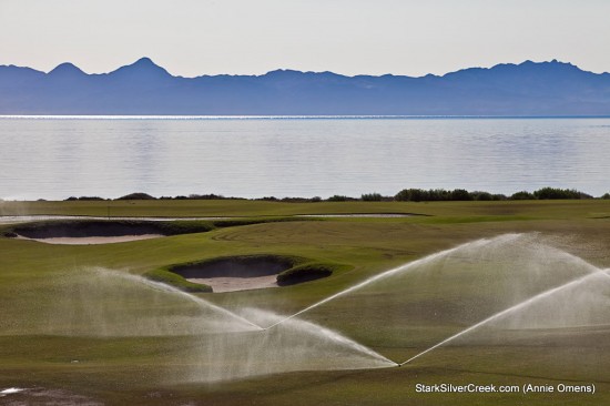 Golf on the Gulf